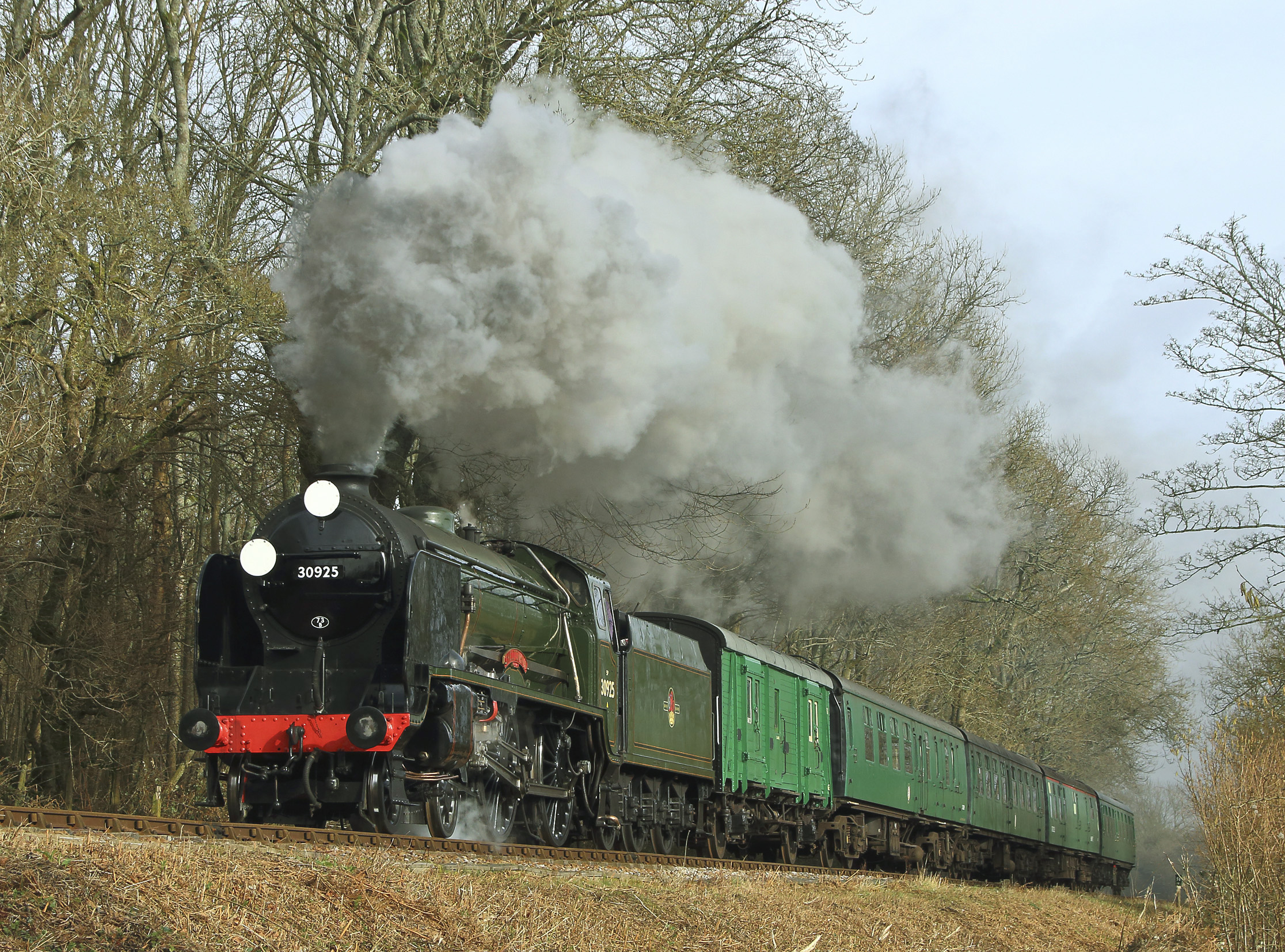 30925 Cheltenham is seen here working hard up the grade through Chawton Woods, between Alton and Medstead & Four Marks on the Mid Hants Railway (the Watercress Line), while working a Time Line Events photo charter on 2nd February 2020. Jeremy Harrison